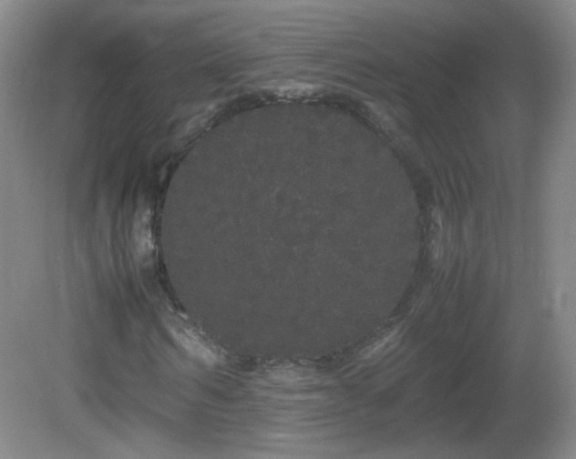 X0000082940962200702011301