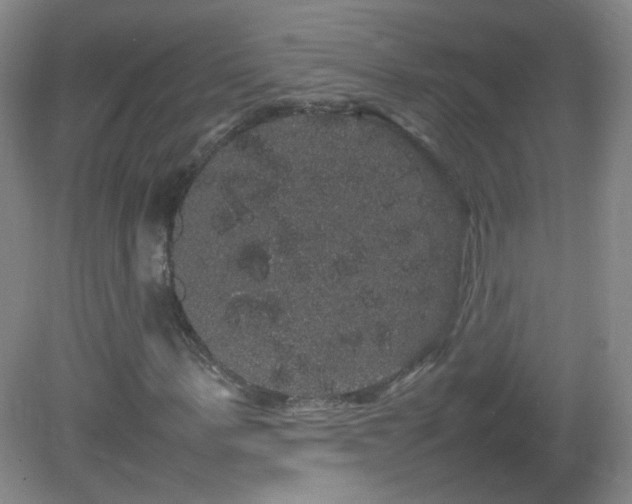 X0000082940963200702011301