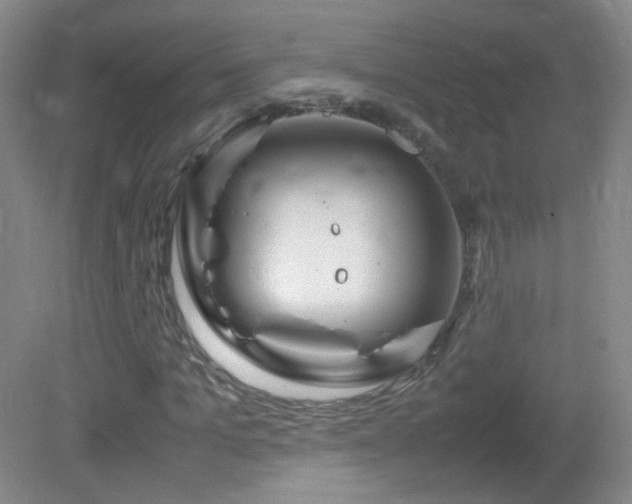 X0000082940965200702011301