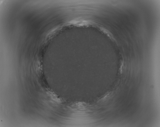 X0000082940966200702011301
