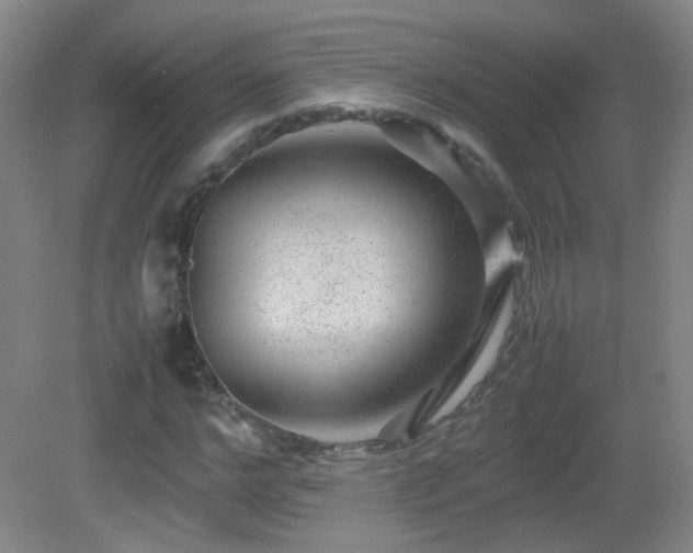 X0000082940968200702011301