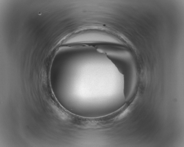 X0000082940969200702011301
