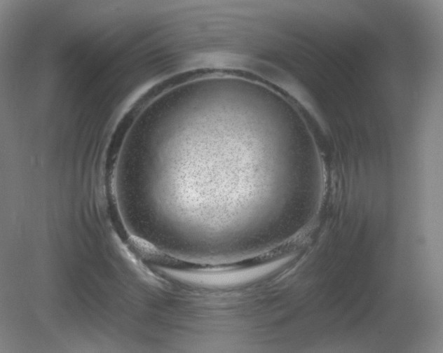 X0000082940972200702011301