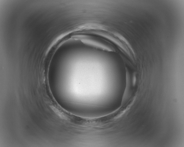 X0000082940973200702011301