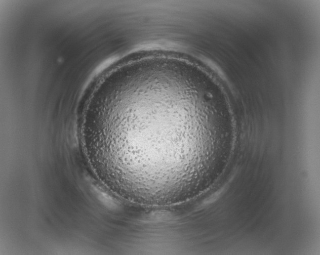 X0000082940974200702011301