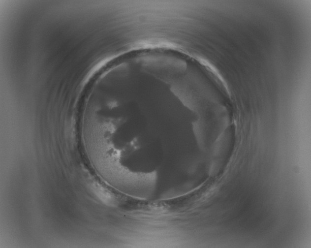 X0000082940975200702011301