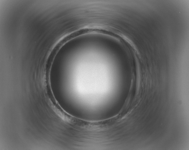 X0000082940976200702011301