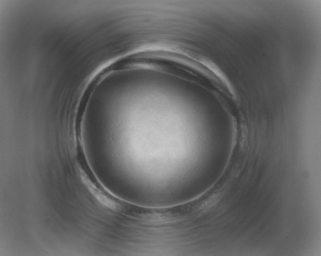X0000082940980200702011301