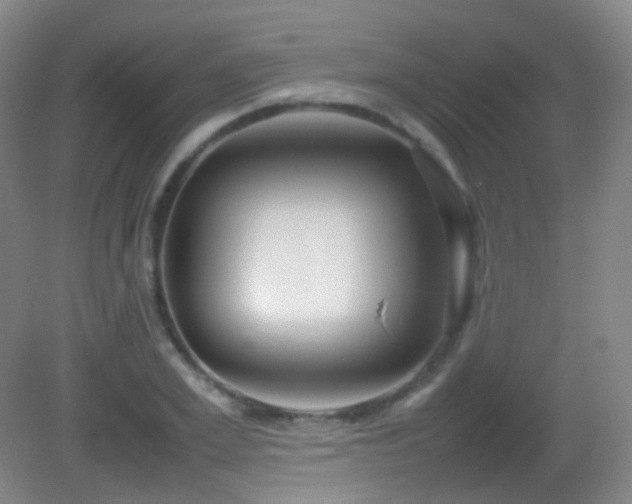X0000082940981200702011301