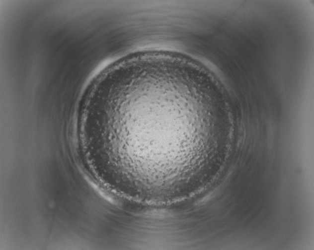 X0000082940982200702011301