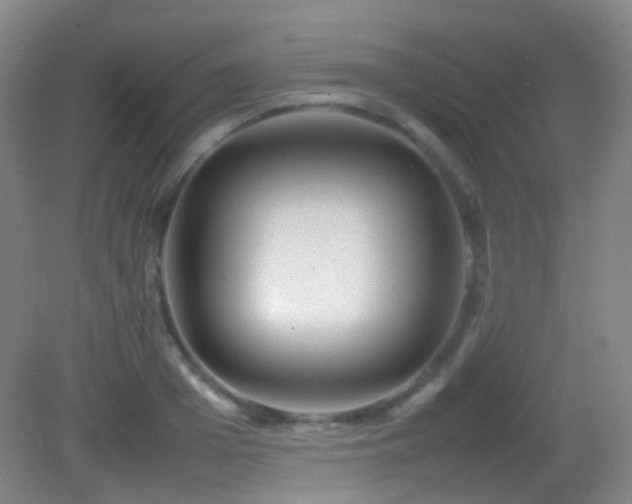 X0000082940985200702011301