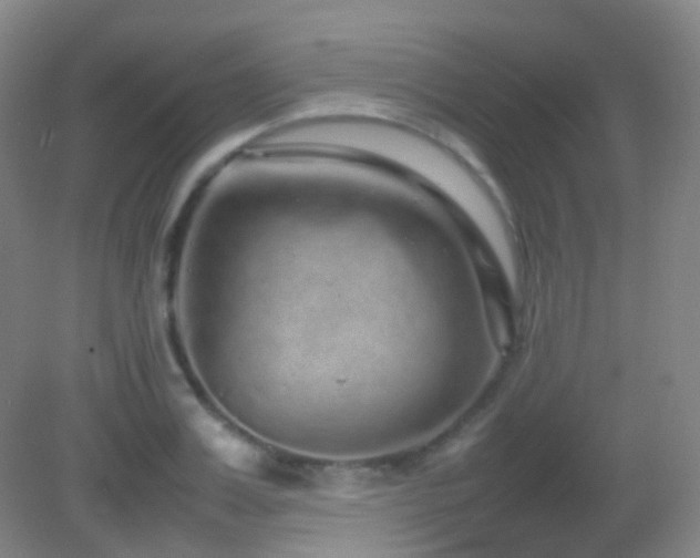 X0000082940987200702011301