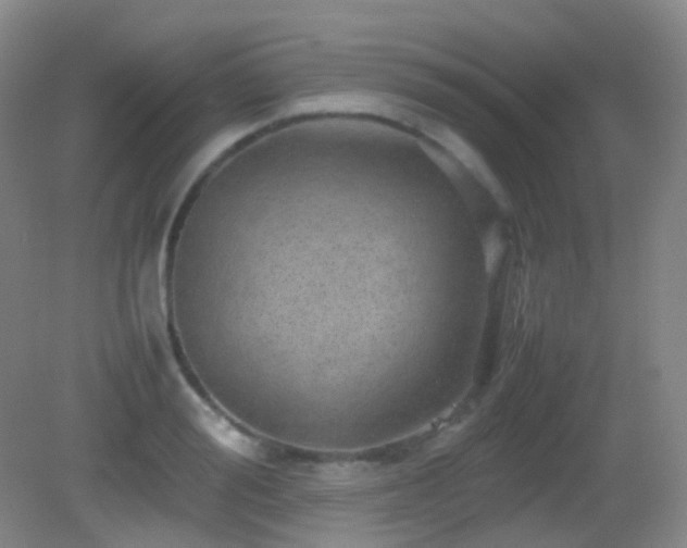 X0000082940988200702011301