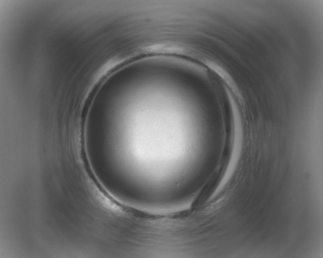 X0000082940992200702011301