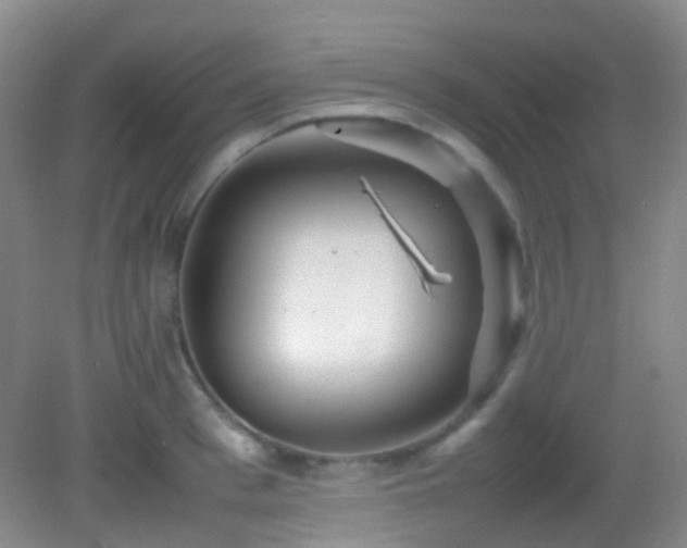 X0000082940993200702011301