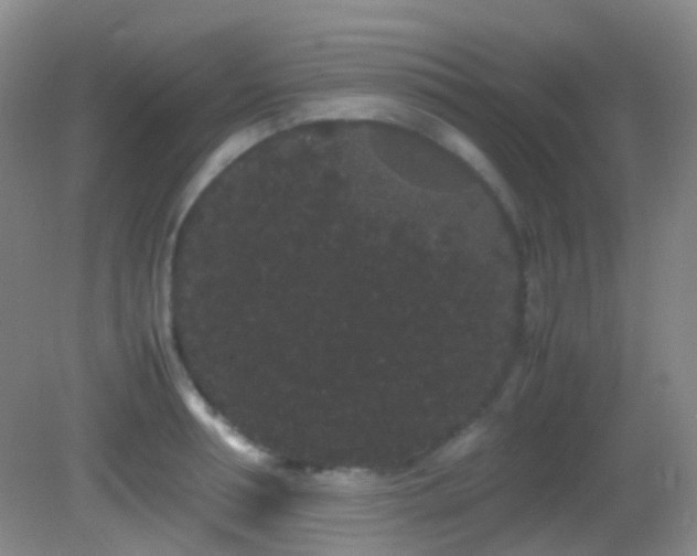 X0000082940994200702011301