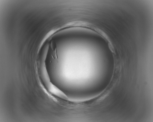 X0000082940997200702011301