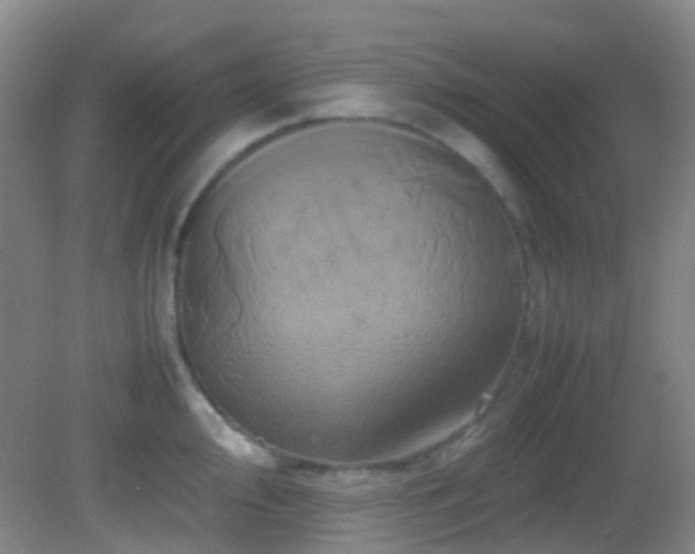 X0000082941000200702011301