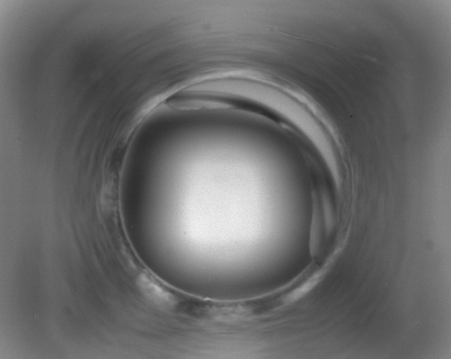 X0000082941001200702011301