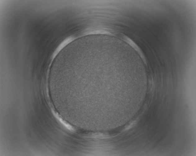 X0000082941002200702011301