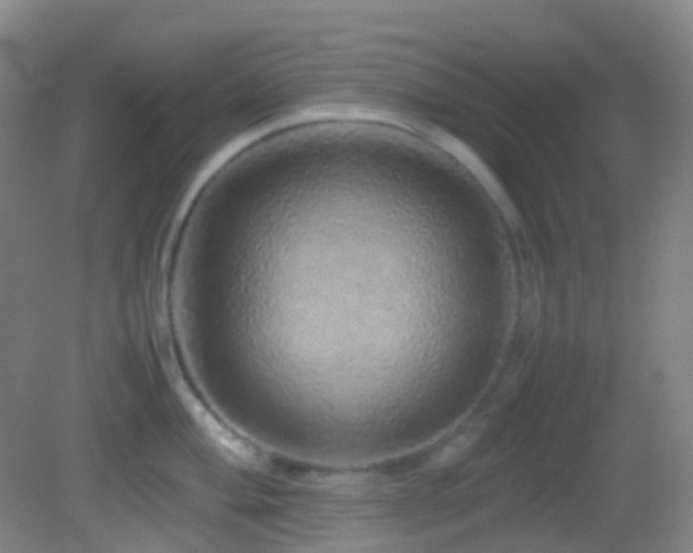 X0000082941004200702011301