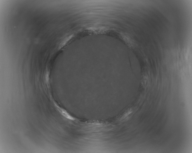 X0000082941010200702011300