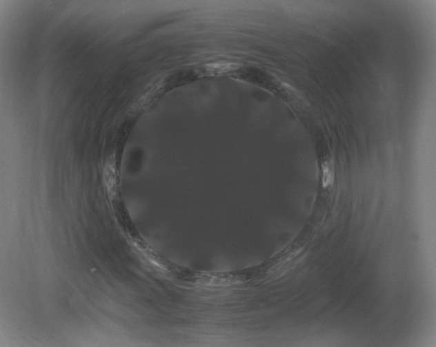 X0000082941011200702011300