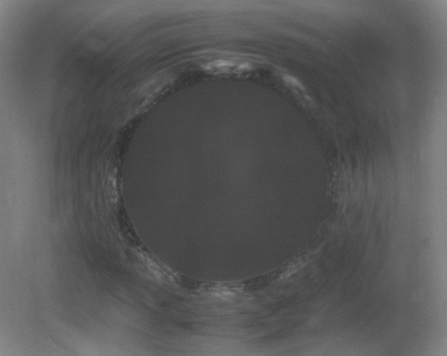 X0000082941013200702011300