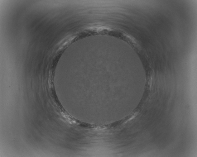 X0000082941014200702011300