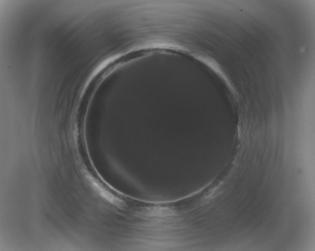 X0000082941024200702011300