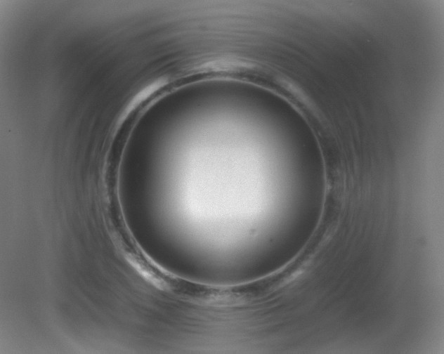 X0000082941026200702011300