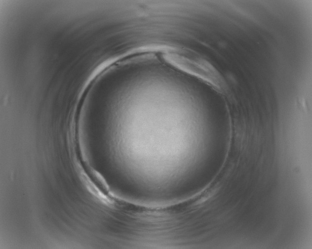 X0000082941044200702011300