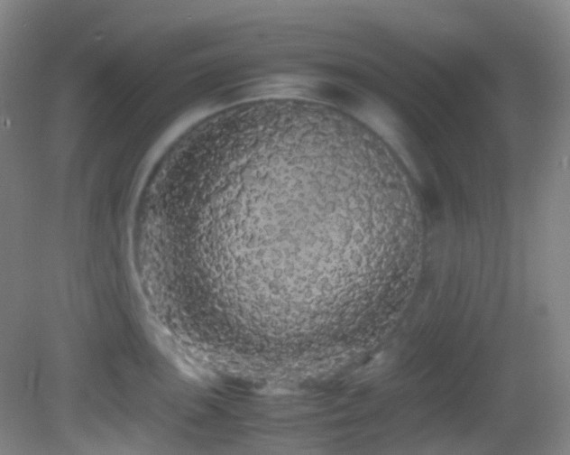 X0000082941051200702011301