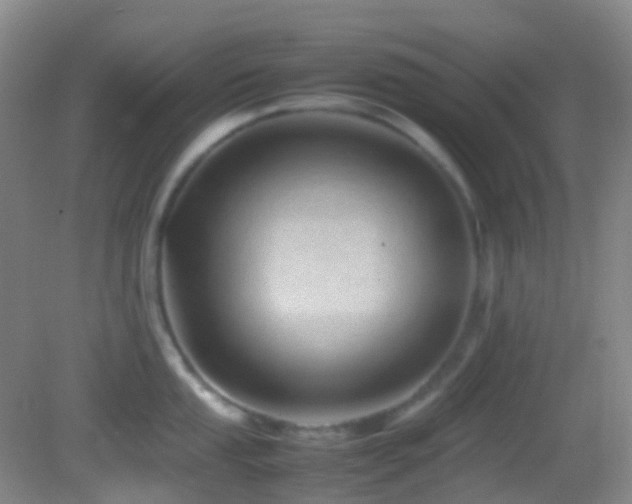 X0000082941053200702011301