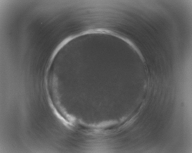 X0000082941054200702011301