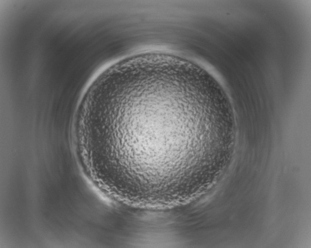 X0000082941056200702011301