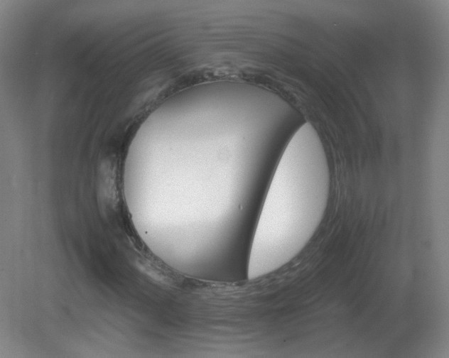 X0000082941060200702011300