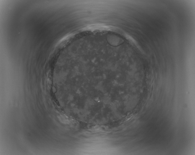 X0000082941063200702011300