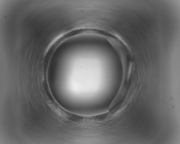 X0000082941069200702011300