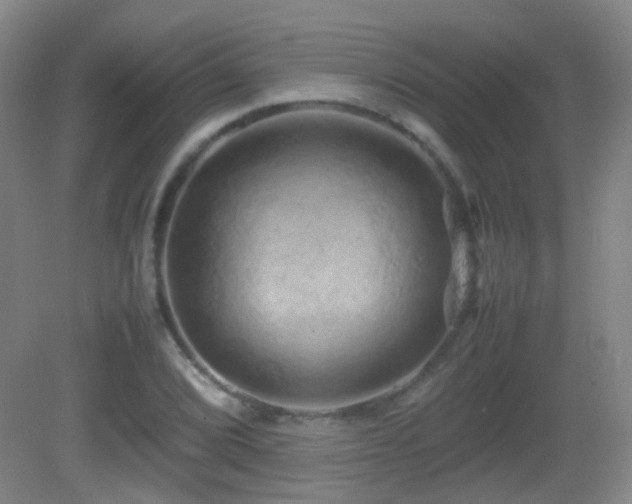 X0000082941072200702011300