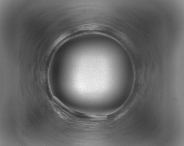 X0000082941073200702011300