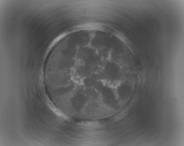 X0000082941074200702011300
