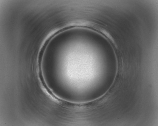 X0000082941080200702011259