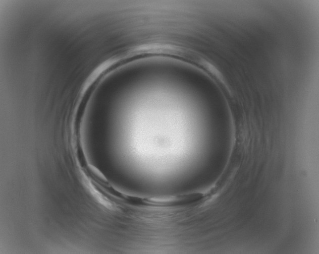 X0000082941082200702011259