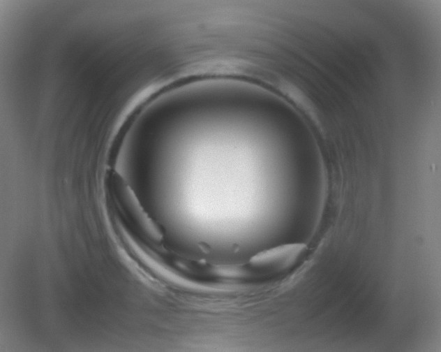 X0000082941085200702011259