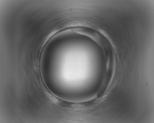 X0000082941089200702011259