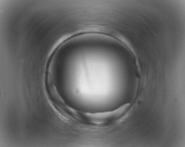 X0000082941093200702011259