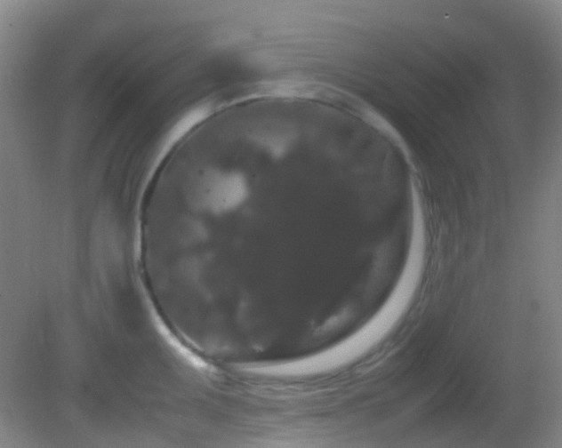 X0000082941095200702011259