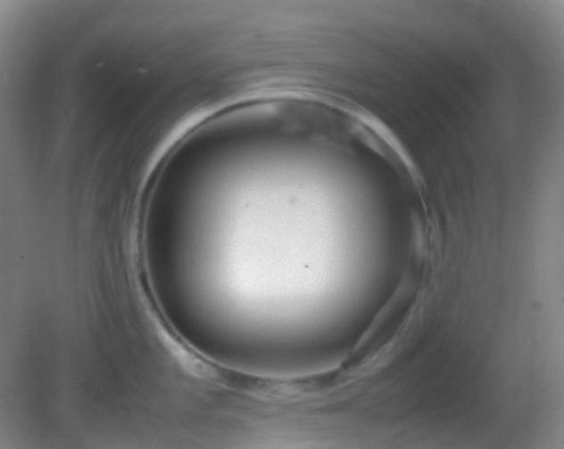 X0000082941101200702011259