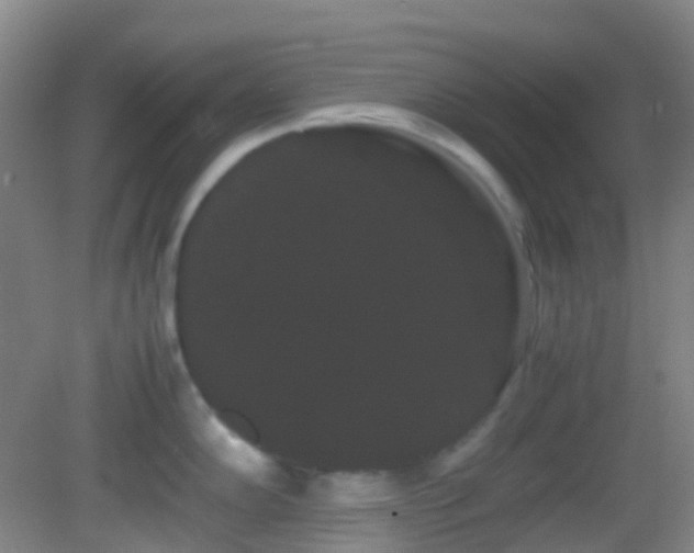 X0000082941102200702011259